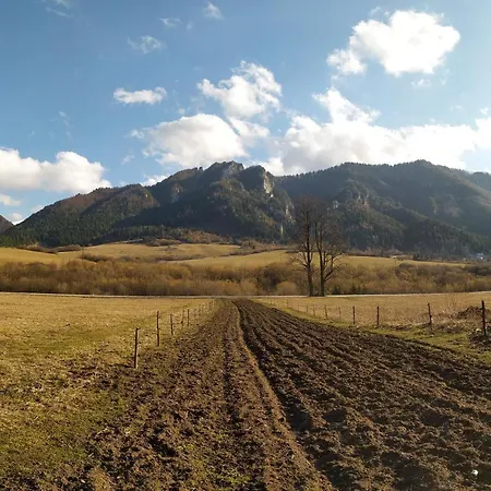 Pod Lipami Orman Evi *